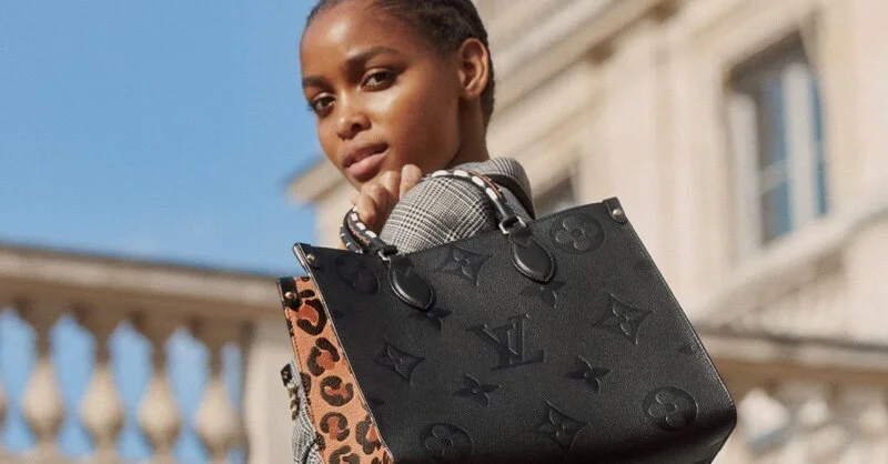 Louis Vuitton s Wild at Heart Fall 2021 Drop Is Artisan Wanderlust Anne of Carversville
